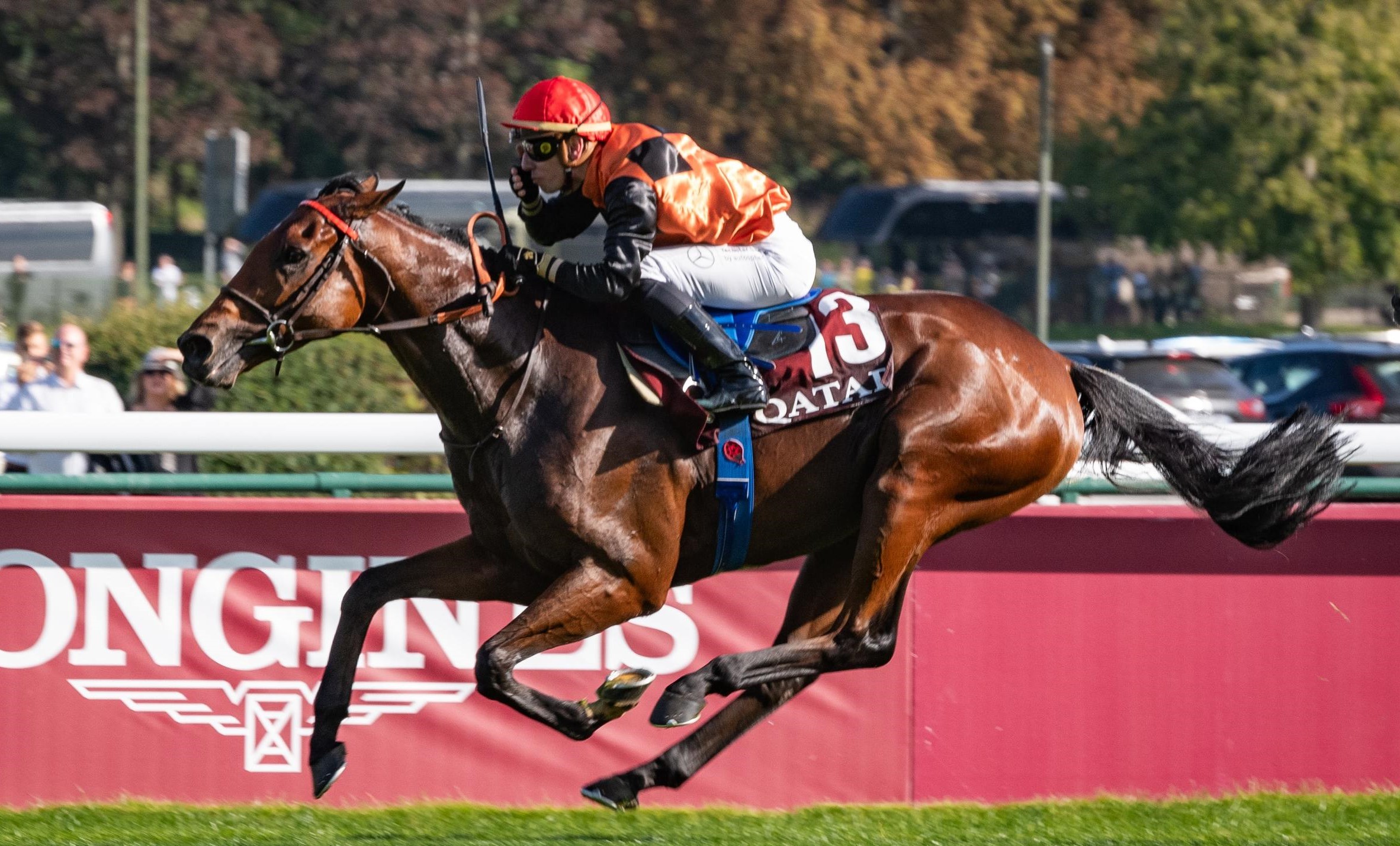 Horse Racing